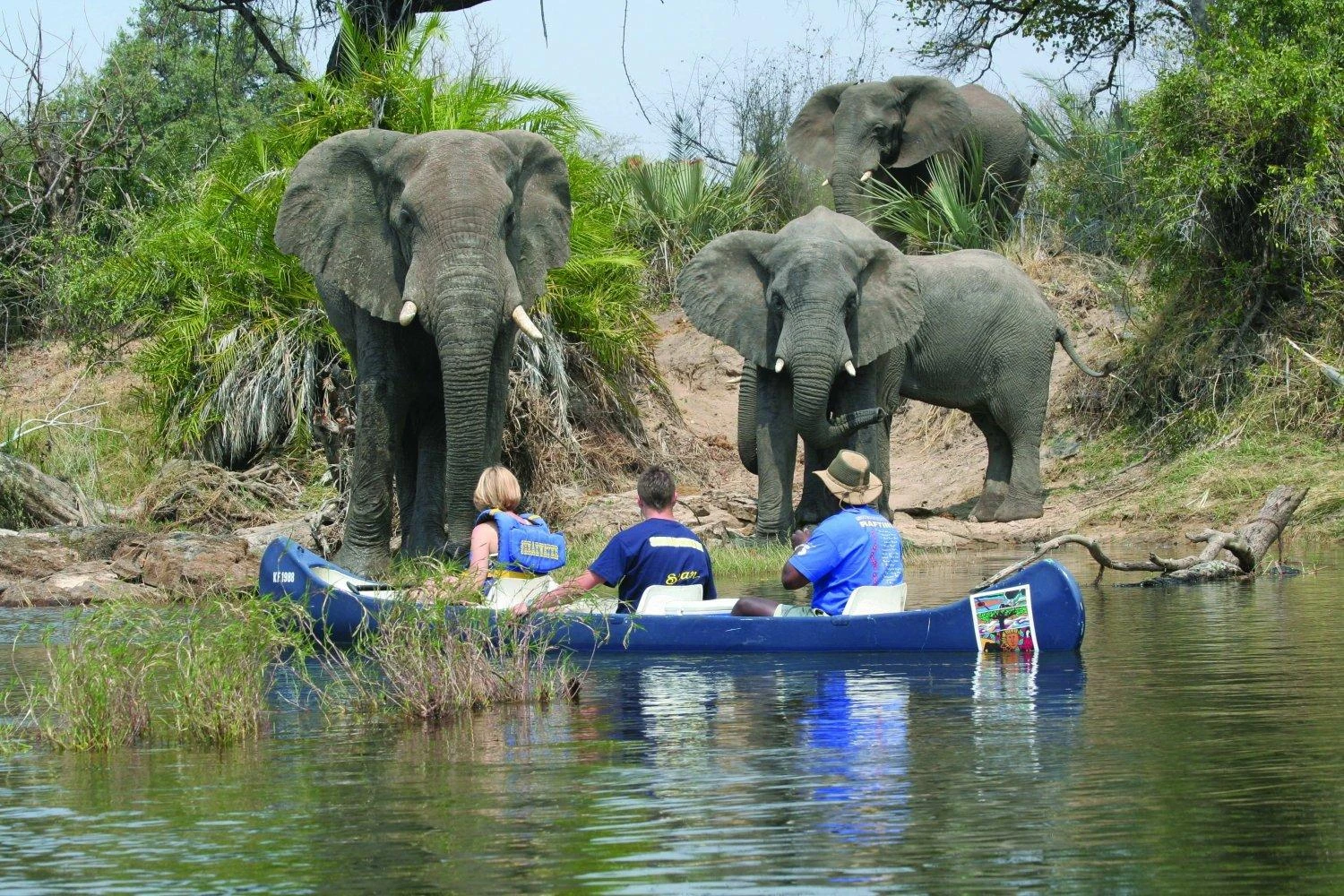 Safari in canoa