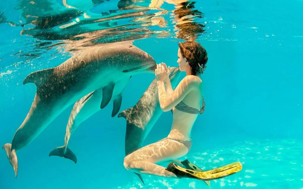 Cose da fare a Zanzibar