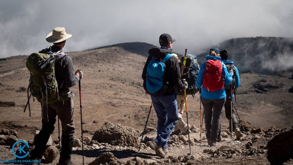 Escursione di 1 giorno sul Monte Kilimanjaro attraverso la rotta Marangu