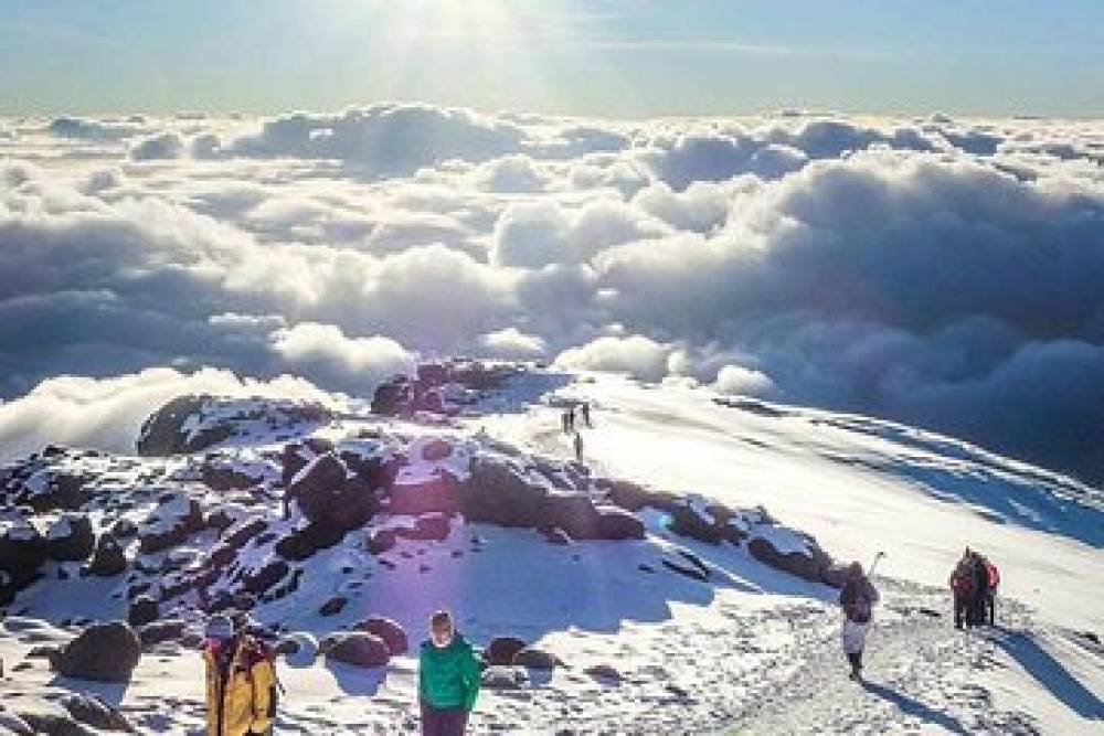 Kilimanjaro 360 di 10 giorni tramite il circuito del Nord