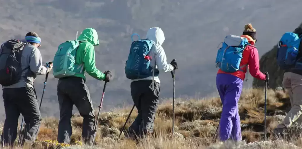Itinerario Machame "Whiskey Route" del Kilimangiaro di 8 giorni