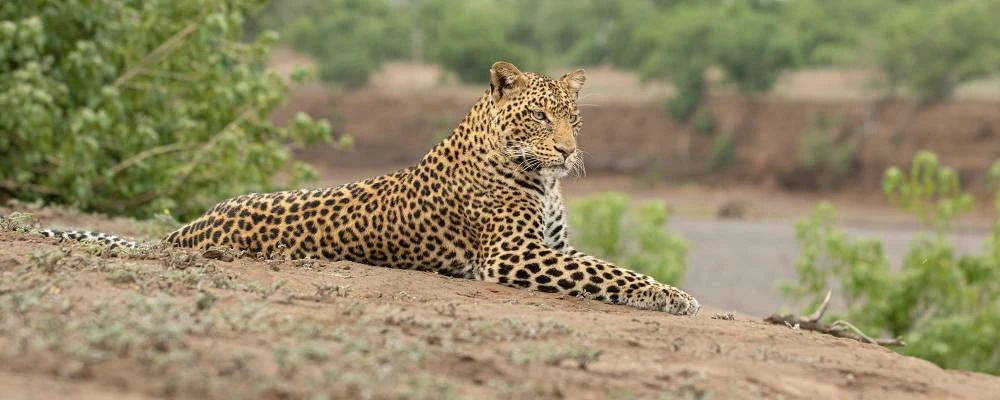Lago Manyara NP di 1 giorno