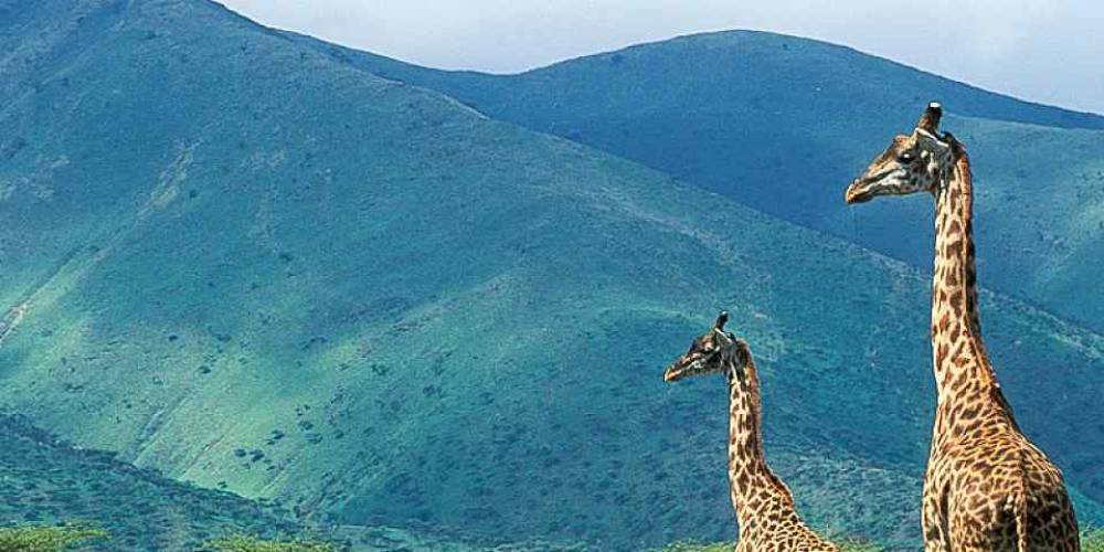 Safari multidimensionale di medio raggio di 7 giorni