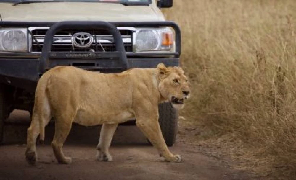 Ruaha di 3 giorni e 2 notti da Dar Es Salaam