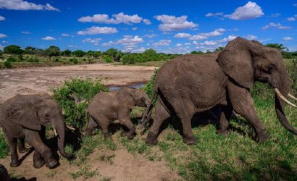 Safari di medio raggio in Tanzania di 6 giorni